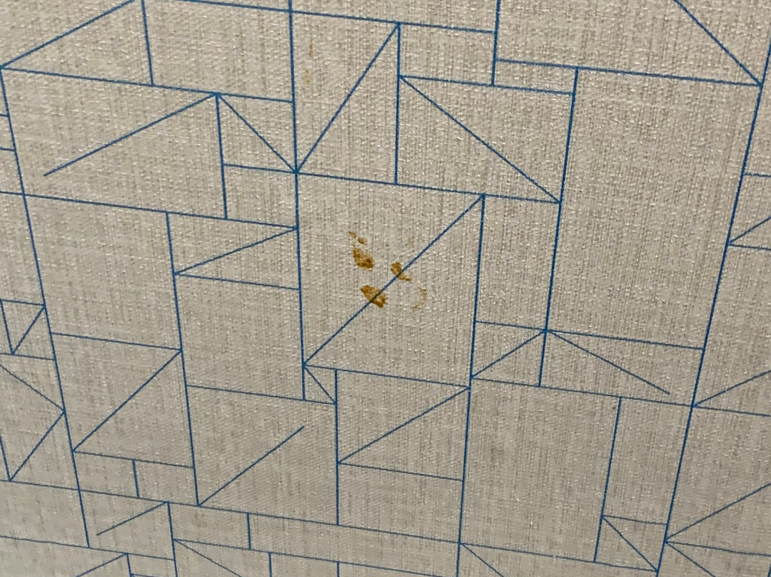 Holiday Inn Express & Suites Orangeburg By IHG主图