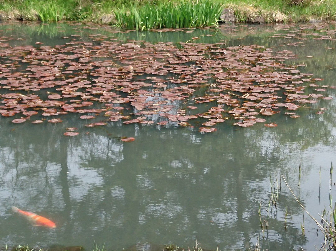 Homma Art Museum Garden-酒田市必去景点