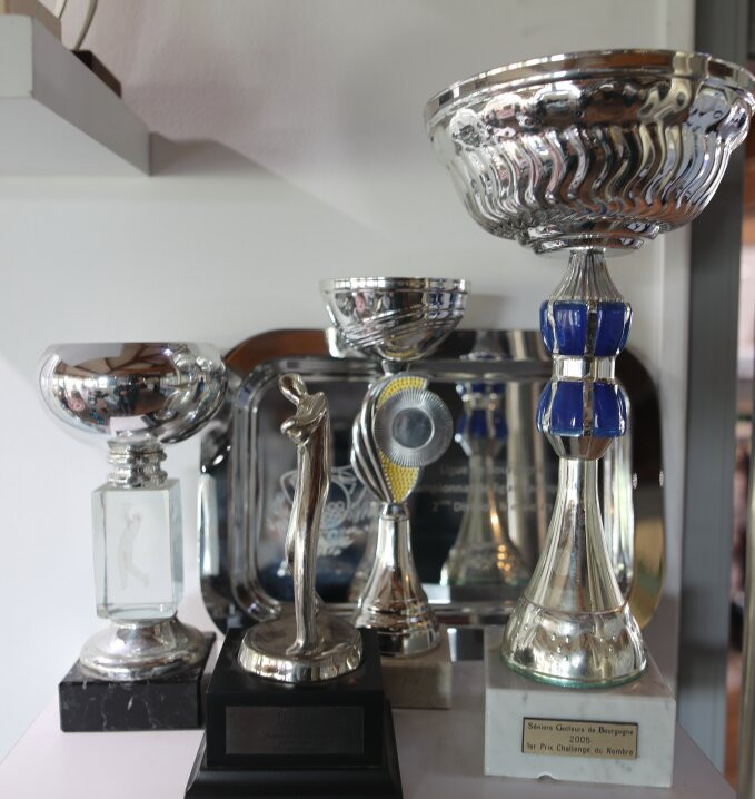 Golf Blue Green Quetigny Grand Dijon景点图片