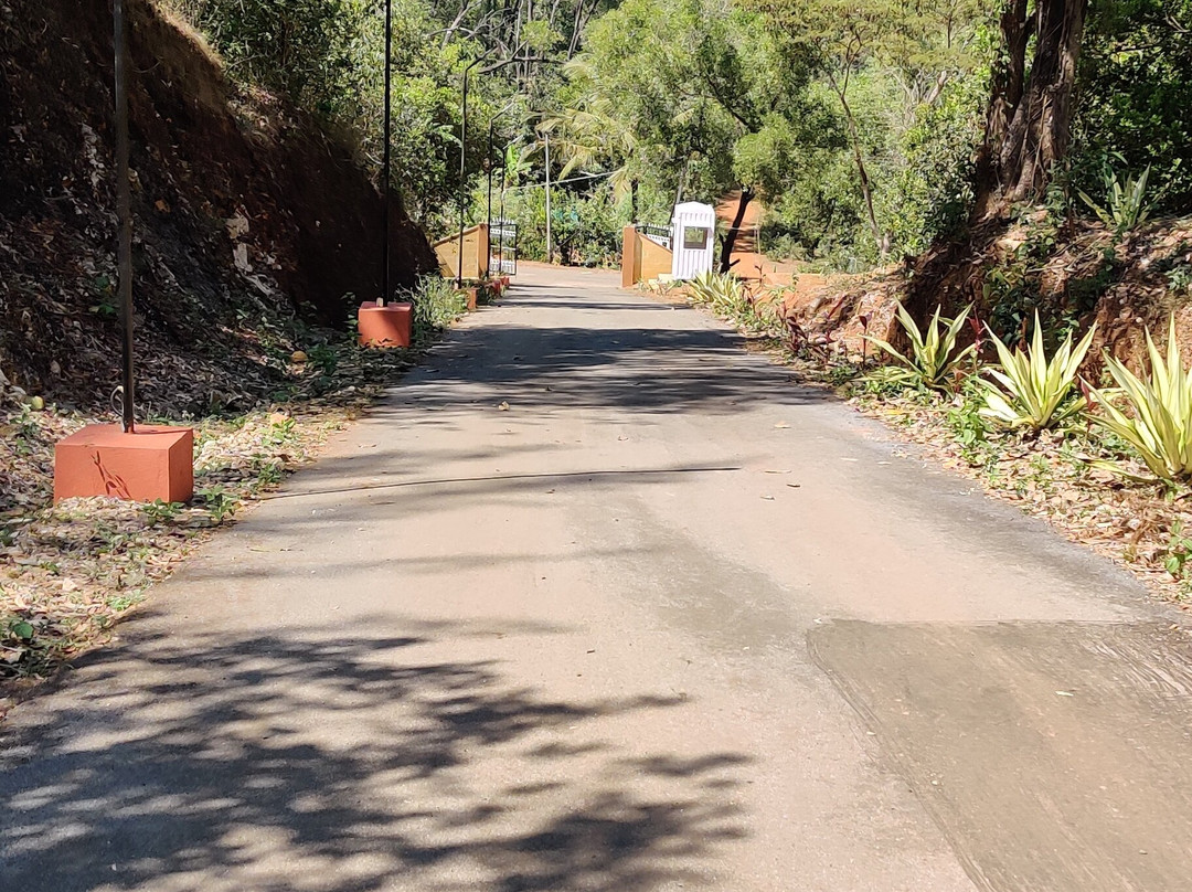 Paradise Wild Hills - Kodachadri主图