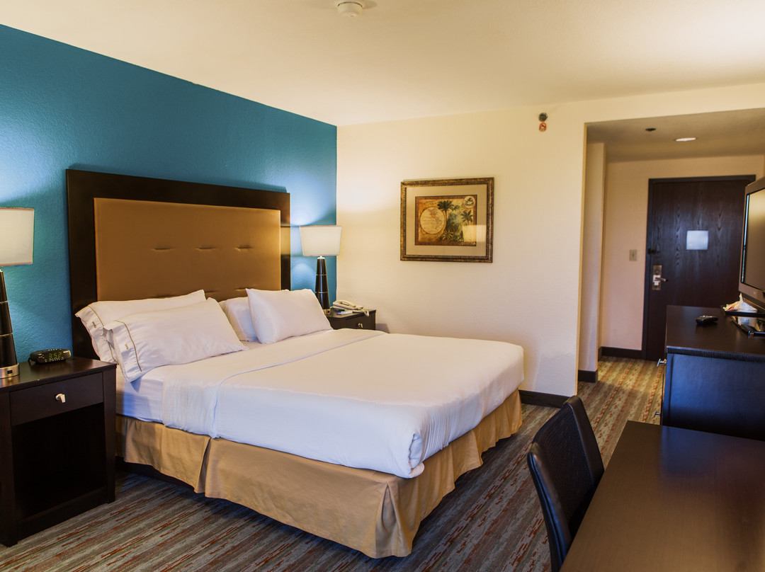 Holiday Inn Express Harlingen by IHG主图