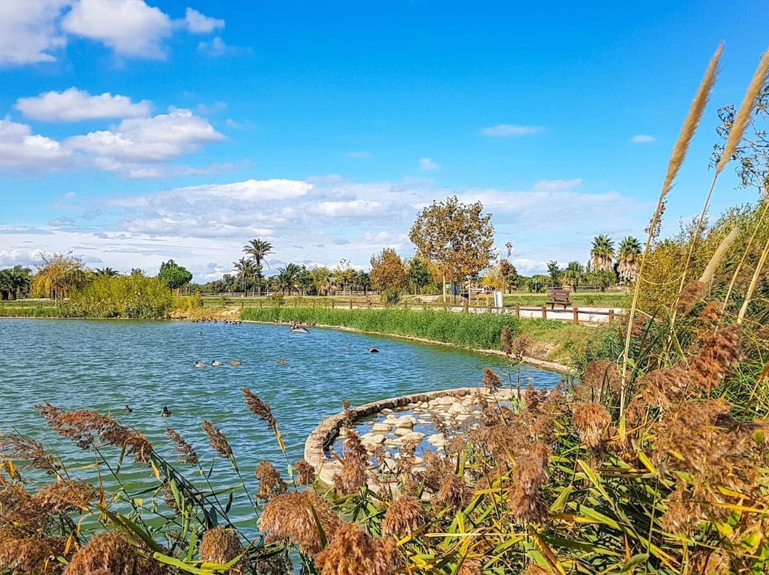 Parc De La Prade-Saint-Cyprien必去景点