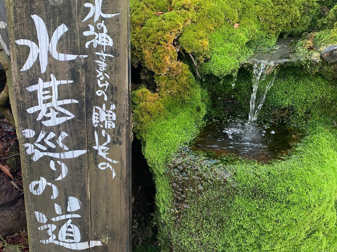 Aso Mizuki Meguri-阿苏市必去景点