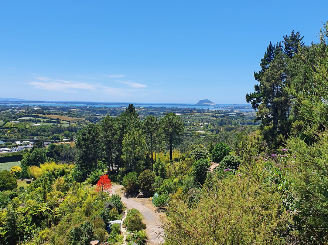 Te Puna Quarry Park景点图片