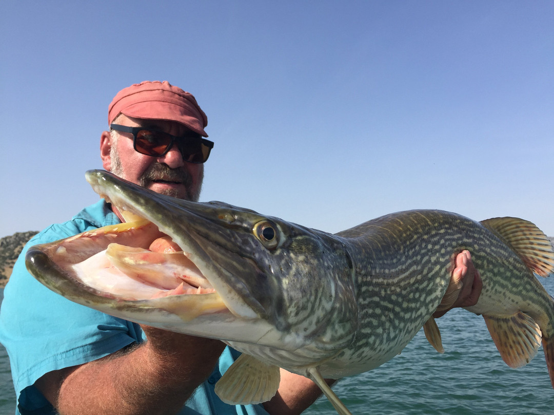 Extremadura Profishing景点图片