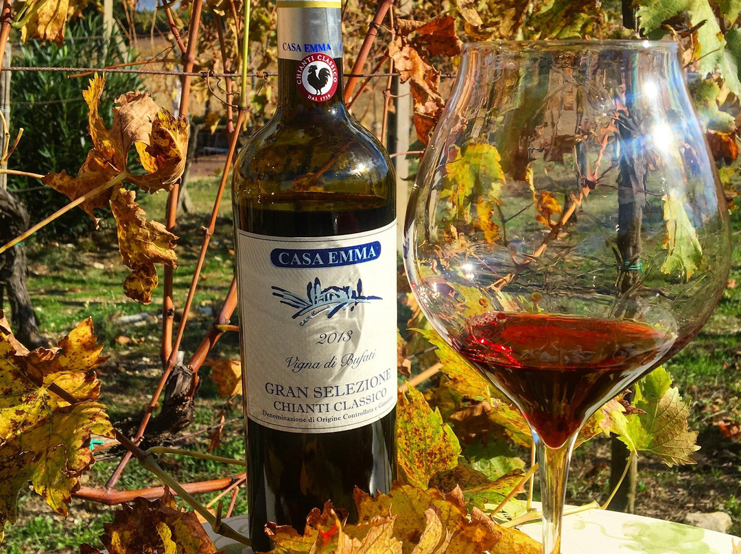 Casa Emma Wine Tasting Experience景点图片