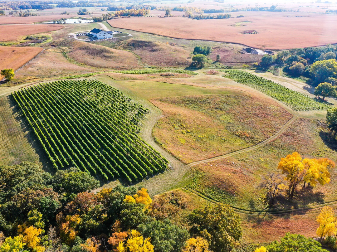Rolling Forks Vineyards-Glenwood必去景点