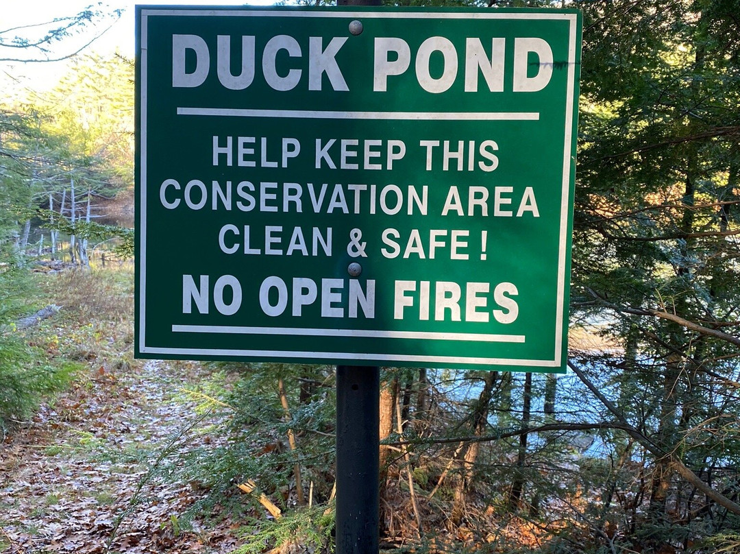 Bearsden Conservation Area-Athol必去景点