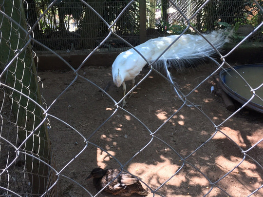 Fazenda Angolana-Canguera必去景点