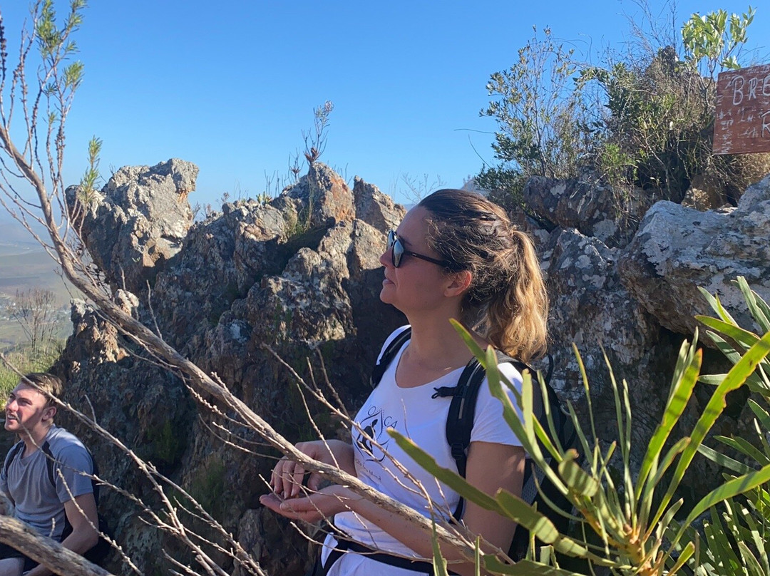 Shoshin Walks-McGregor必去景点