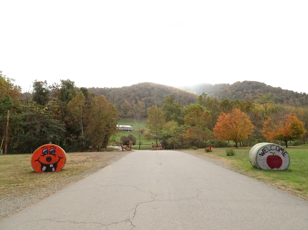 Graves Mountain Farm & Lodges主图