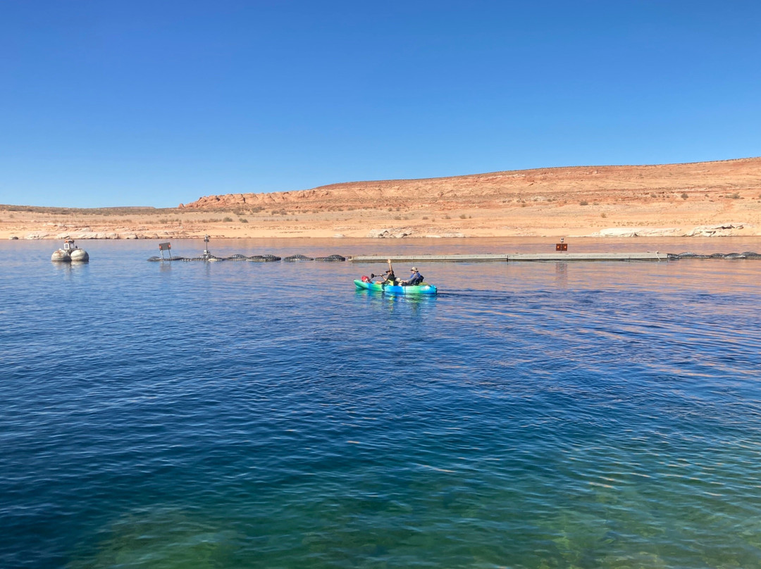 Paddle Express-佩吉必去景点