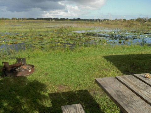 Savannas Recreation Area-匹尔斯堡必去景点