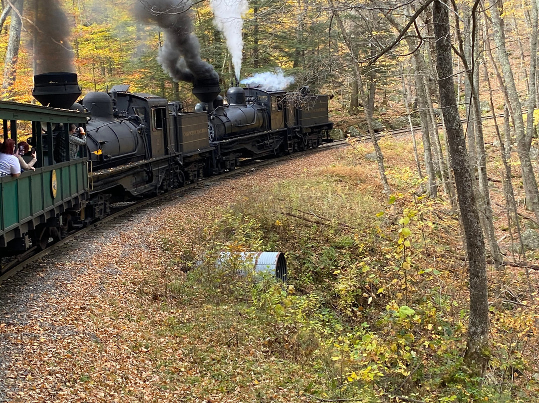 Cass Scenic Railroad景点图片