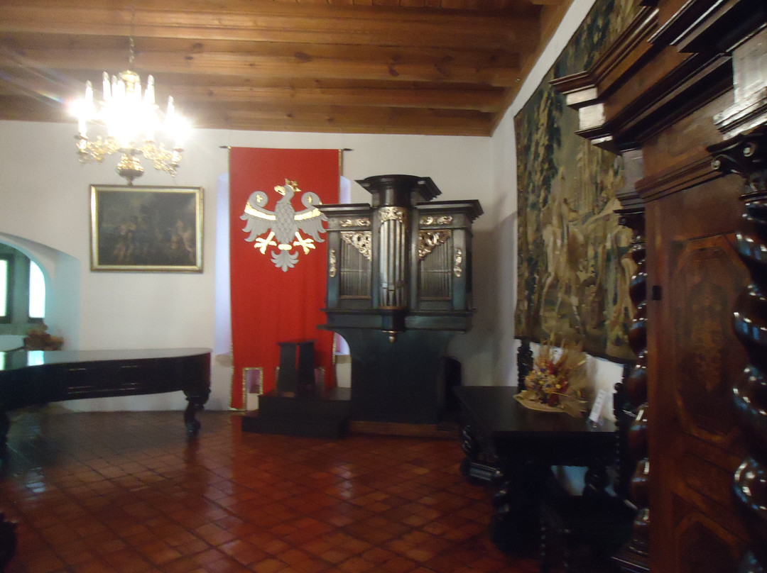 The Castle Museum in Dębno景点图片