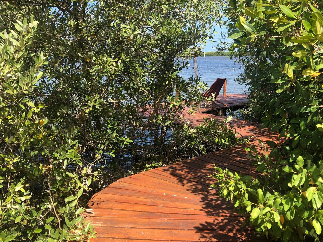 Hotel Rio Lagartos主图