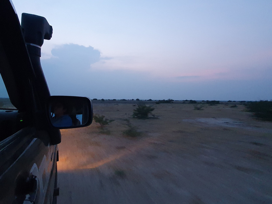 Little Rann of Kutch景点图片
