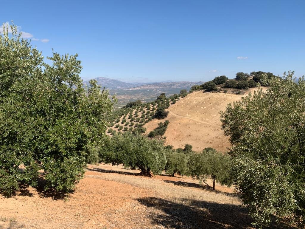 Hospederia la Era主图