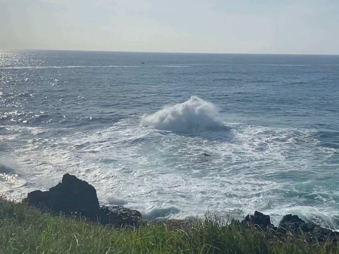 Kiama Coastal Walk景点图片