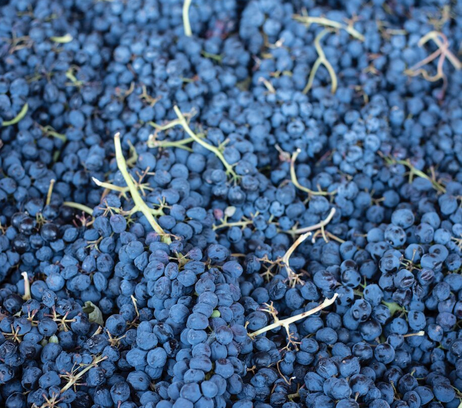 Holesinsky Vineyard & Winery-Buhl必去景点