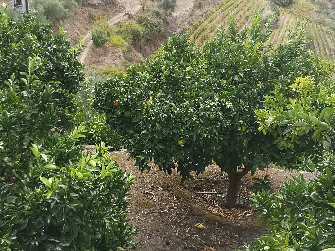 Hotel Quinta do Silval主图