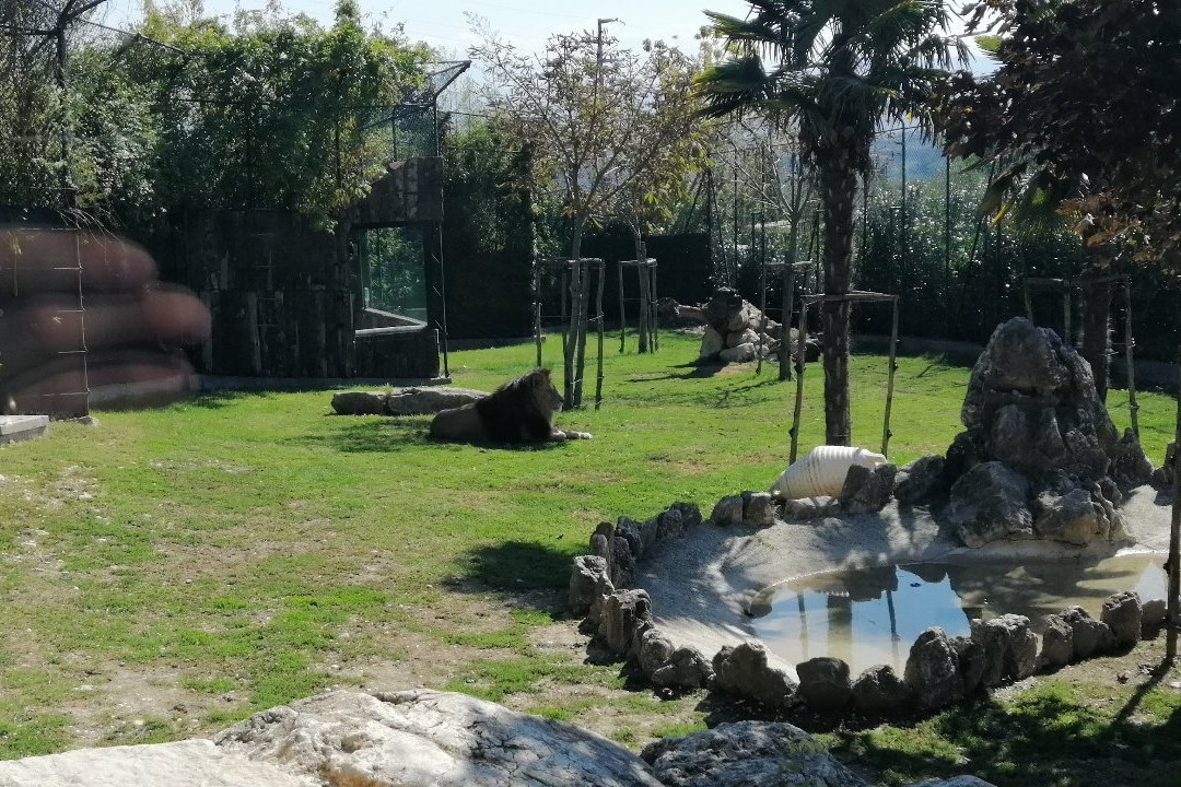 Zoo Delle Maitine景点图片