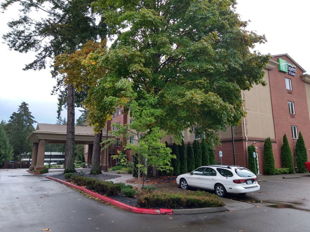 Holiday Inn Express & Suites Lacey - Olympia By IHG主图