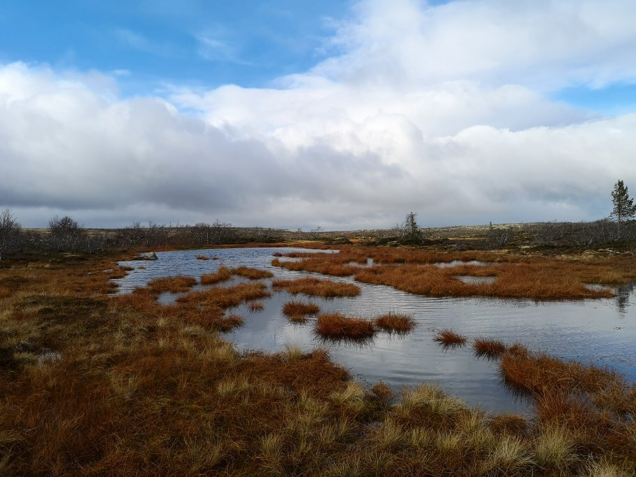 Fulufjällets National Park-Sarna必去景点