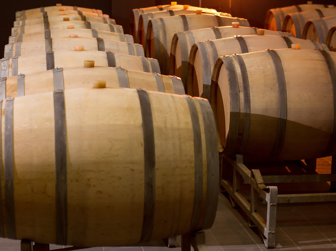 Wine Tasting at Winery Lipovac-Rijeka Crnojevica必去景点