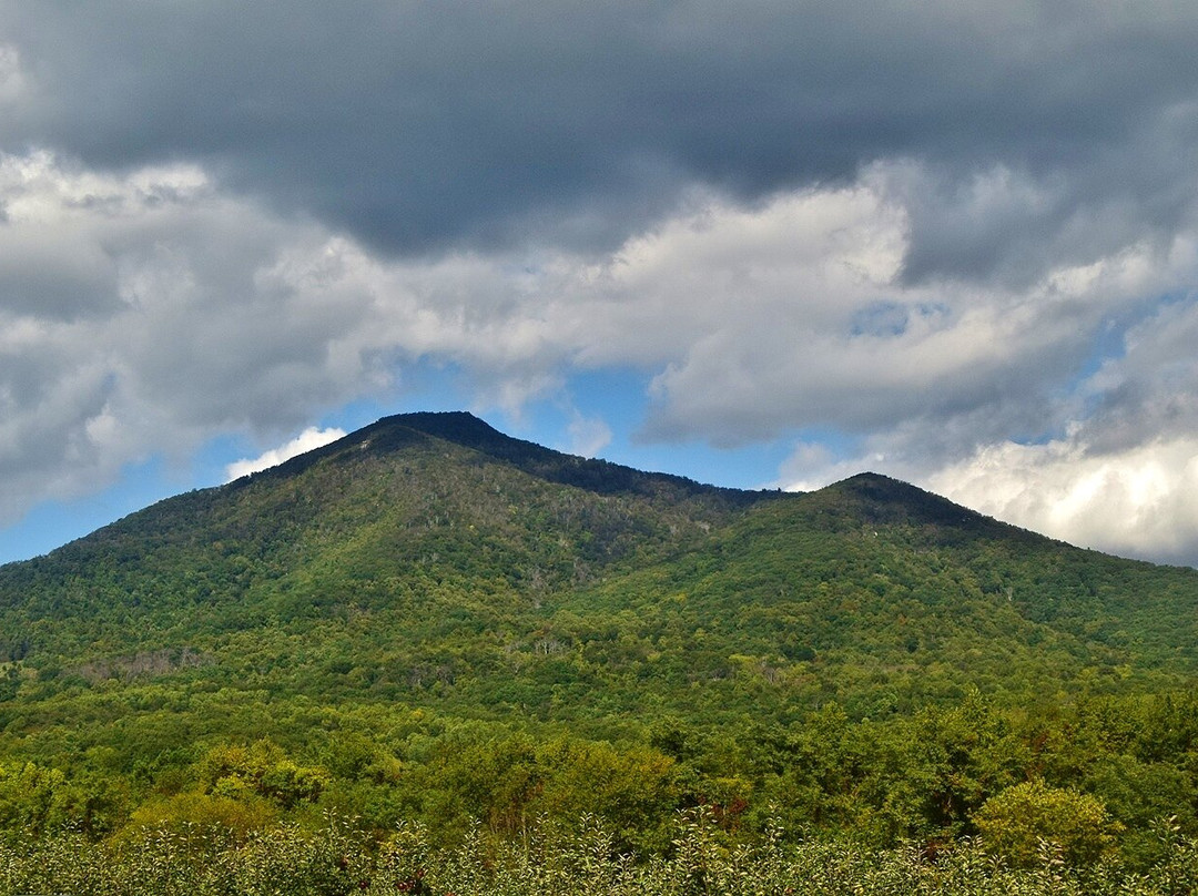 Peaks of Otter Winery-Bedford必去景点