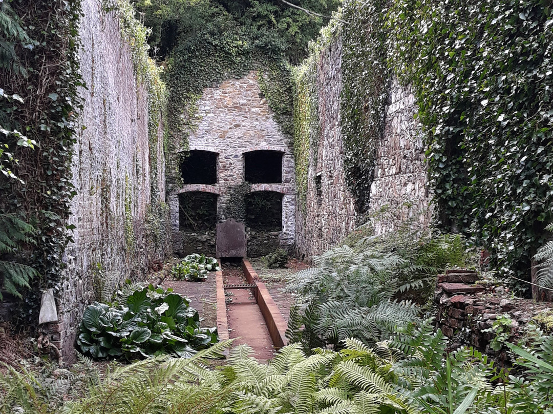 Fairbrook House Gardens & Museum of Contemporary Figurative Art-Kilmeaden必去景点