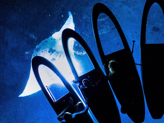 LightSUP Hawaii-凯鲁瓦-柯纳必去景点