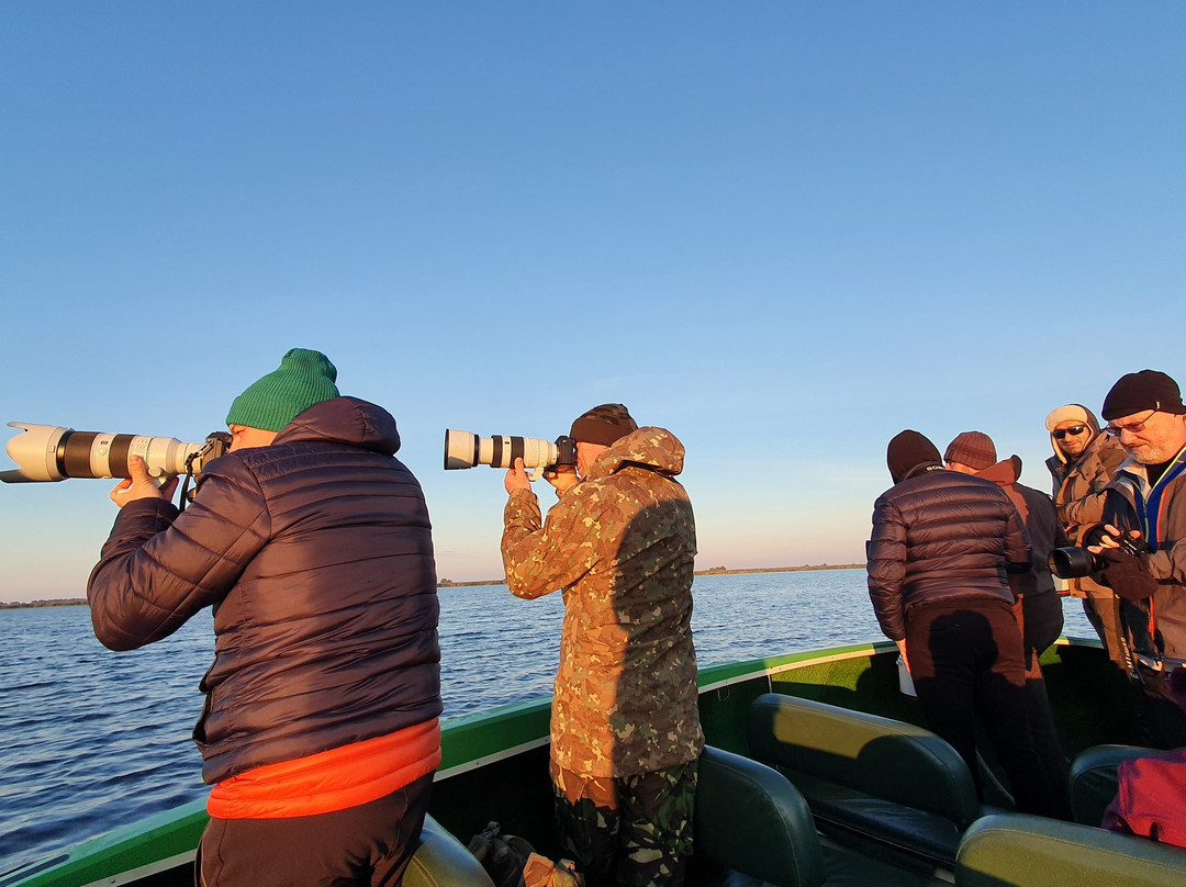 Discover Danube Delta景点图片