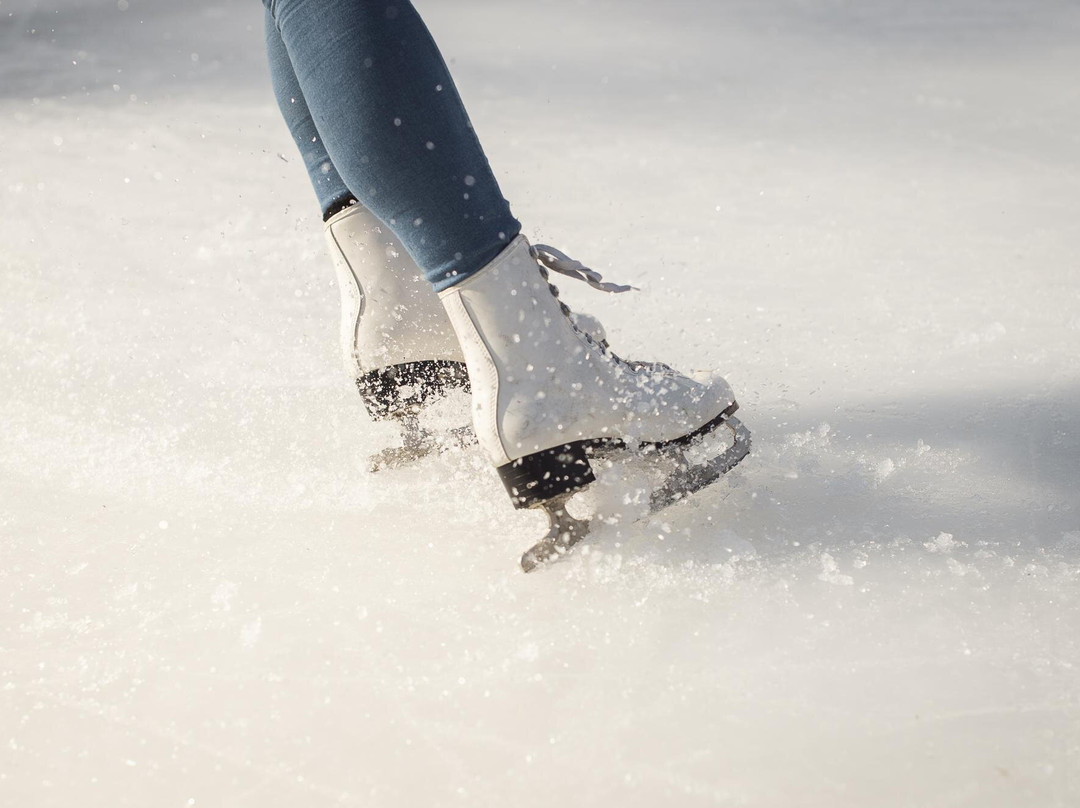 Centre des sports Patinoire de Villars