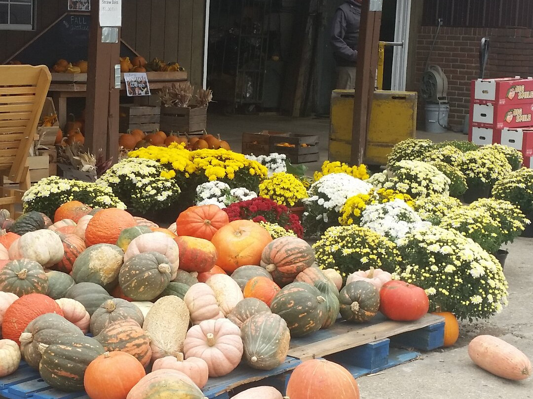 Legend Hills Orchard-Utica必去景点