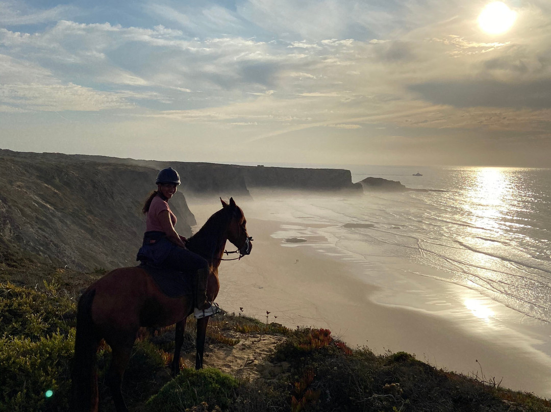 Horse Adventure Tours景点图片