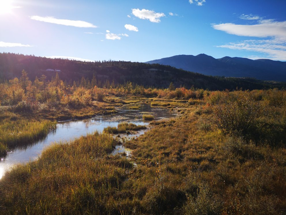 Source of the Columbia Trail景点图片