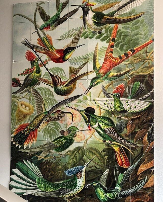 Hôtel La Licorne主图