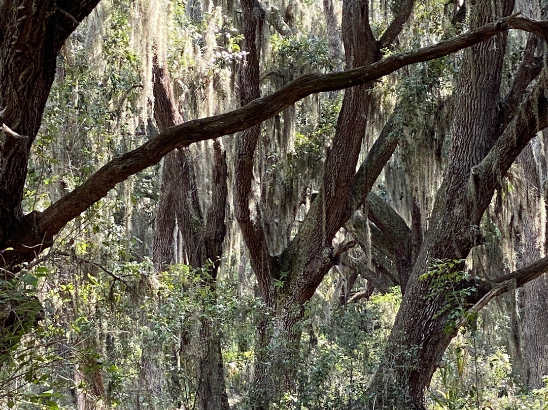 Lake Runnymede Conservation Area-圣克劳德必去景点