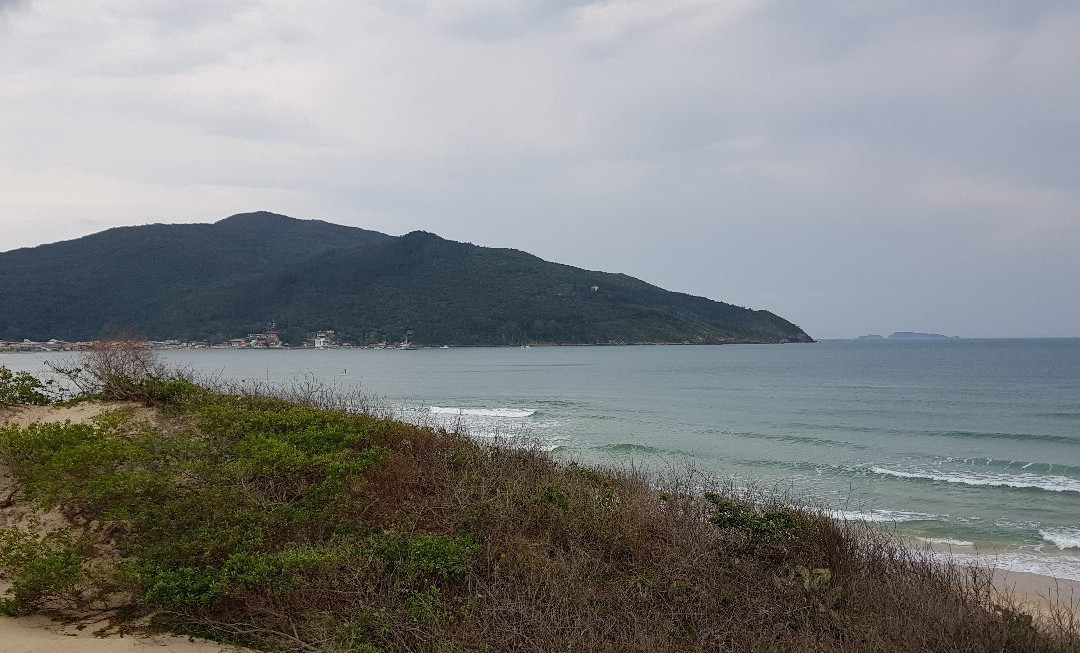 Praia dos Açores景点图片