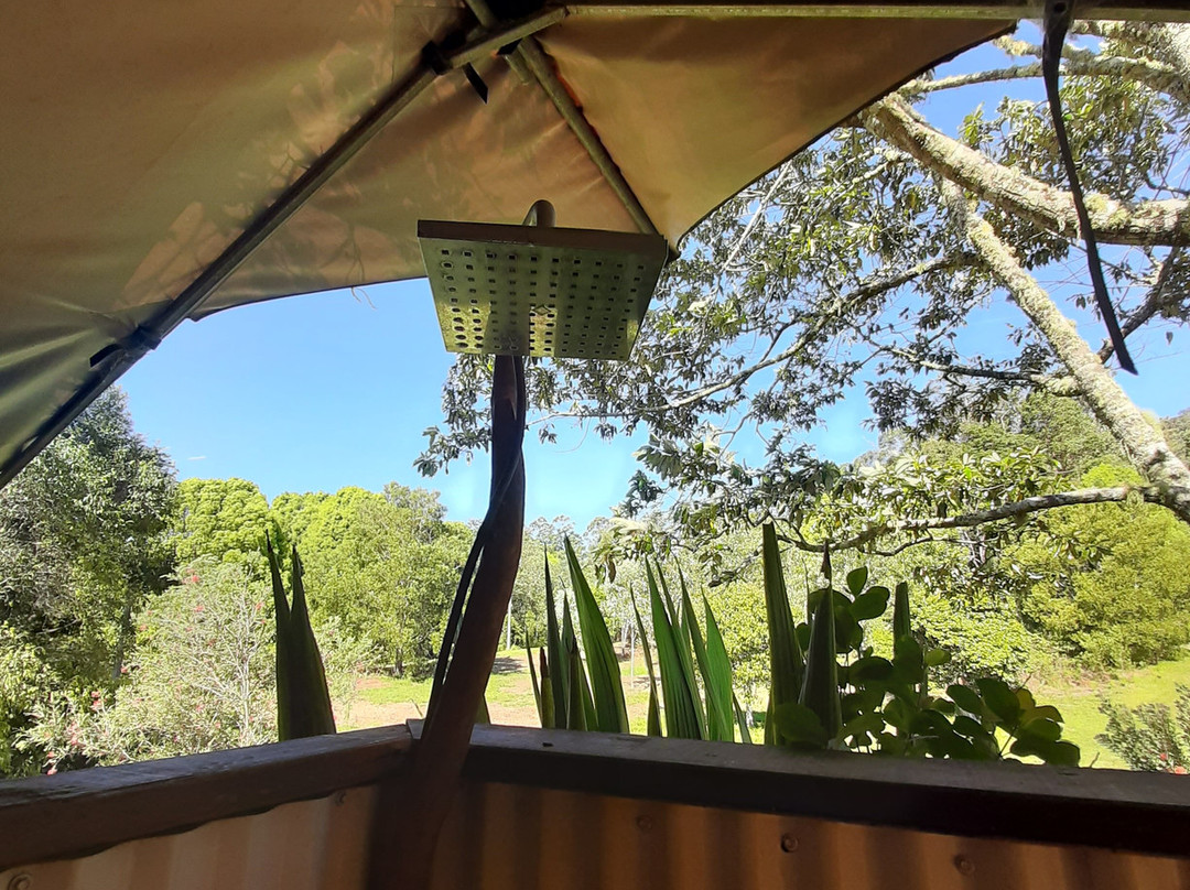 Mount Burrell旅游攻略图片