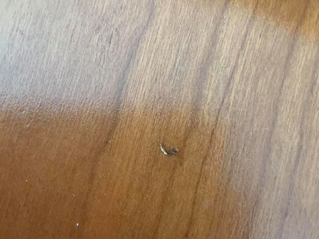 海米提吉公园酒店主图