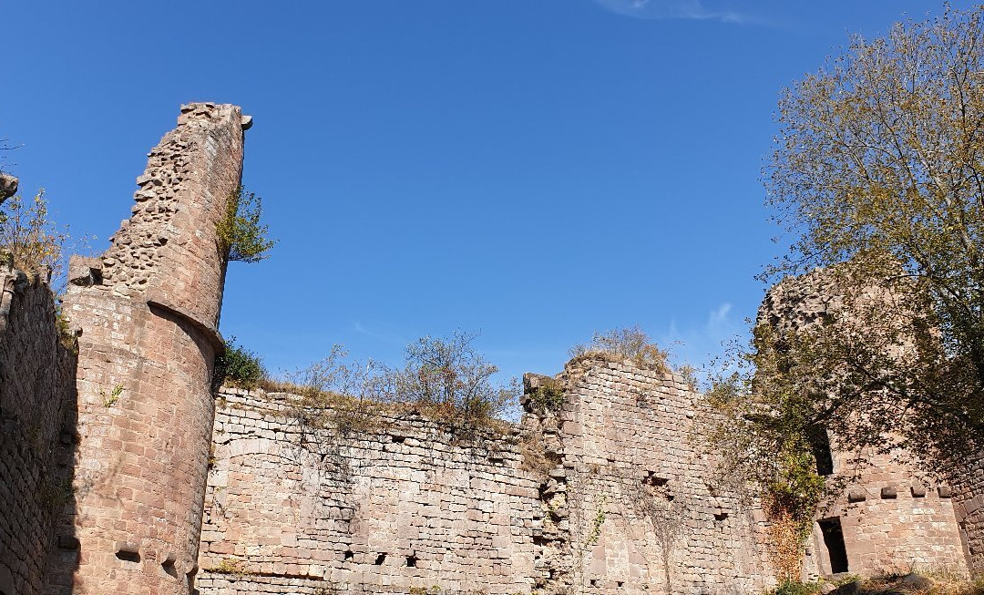 Chateau de Landsberg景点图片