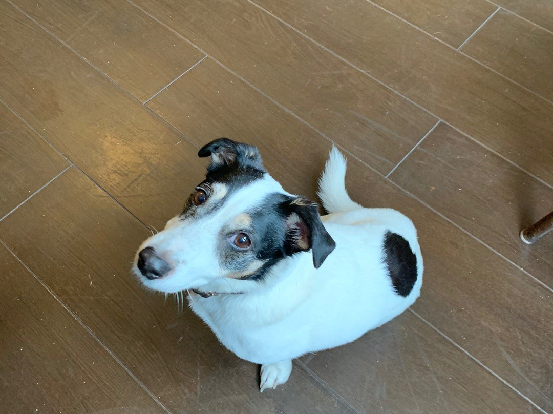 The Claremont Motel主图