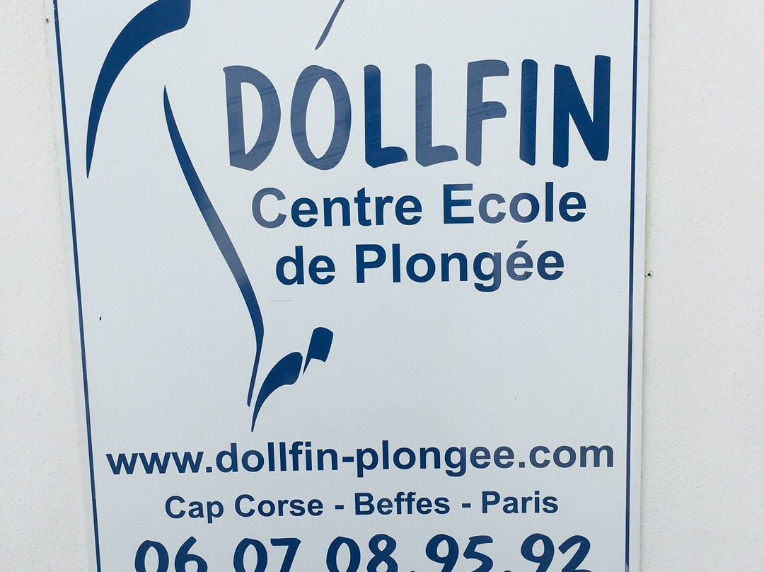 Dollfin Centre école de Plongée景点图片