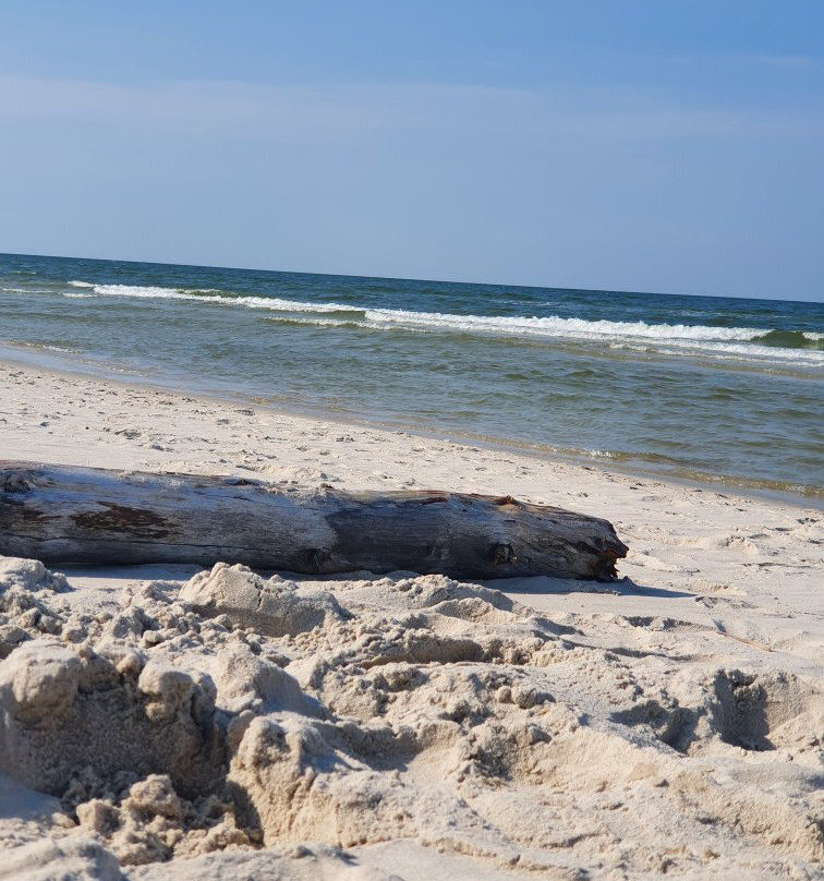 Plaża Białogóra景点图片