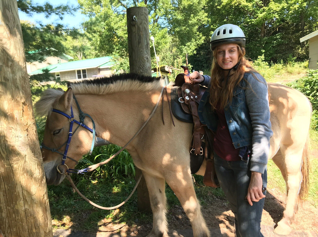 Sleighman-Ishpeming必去景点