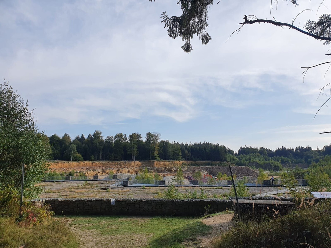 Dinosaur tracks-Obernkirchen必去景点