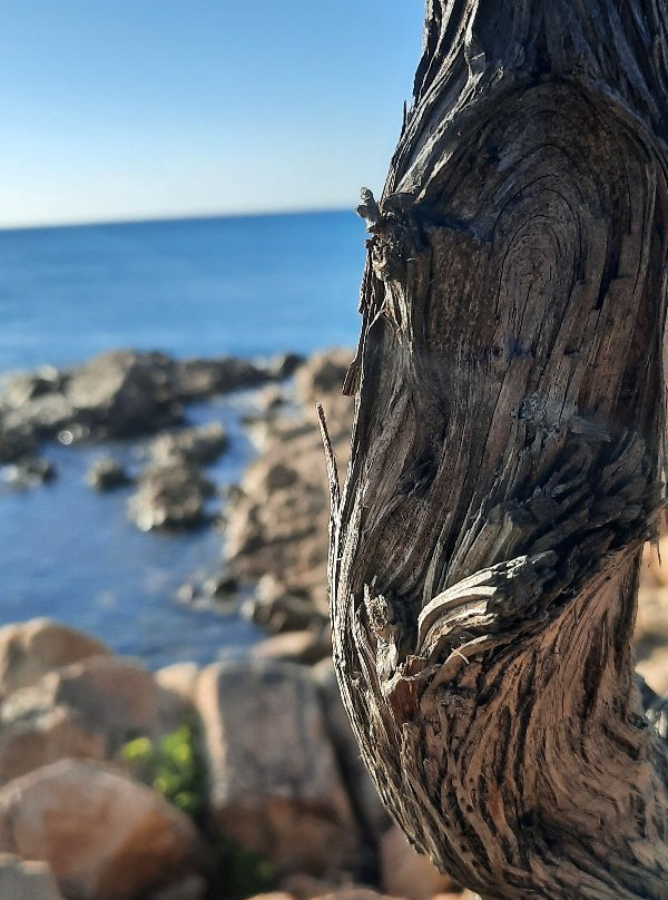 B&B Giglio di Mare主图