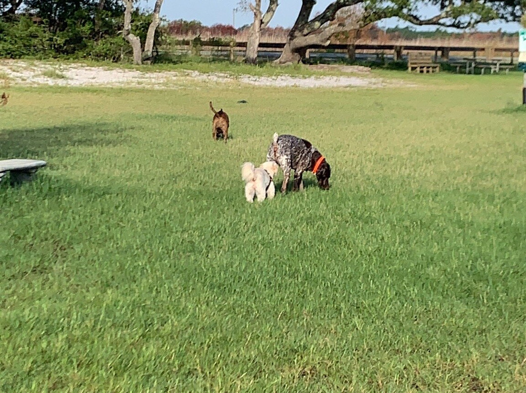 The Dog Park-格尔夫海岸必去景点